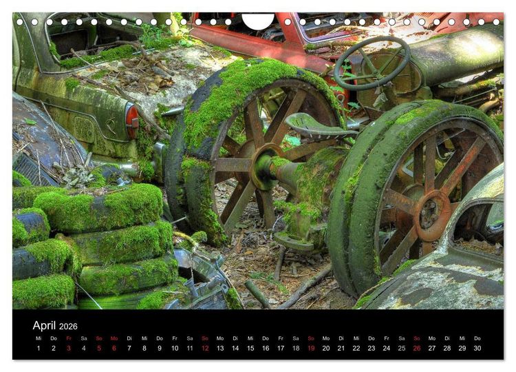 Produktbild: ROSTLAUBEN Die sch&ouml;nsten Autowracks (Wandkalender 2026 DIN A4 quer), CALVENDO Monatskalender