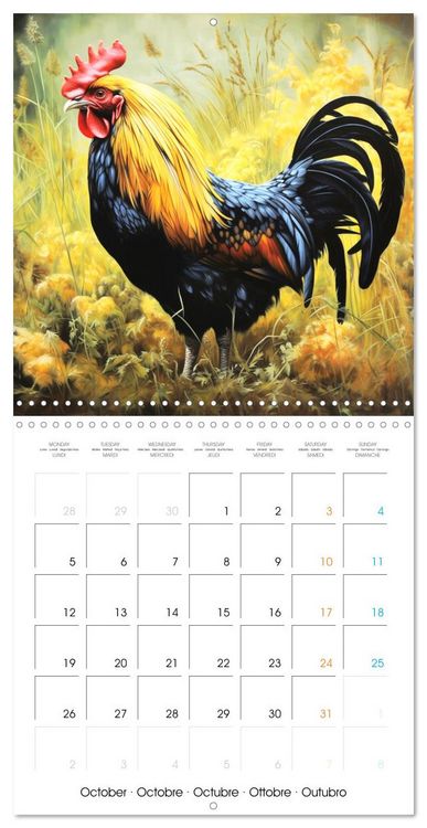 Produktbild: Coqs de nos campagnes (Calendrier mural carr&eacute; 2026 30x30 cm) Calendrier double avec une page pour vos prises de notes