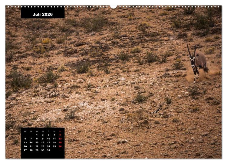 Produktbild: Blickpunkte des S&uuml;dlichen Afrika (hochwertiger Premium Wandkalender 2026 DIN A2 quer), Kunstdruck in Hochglanz