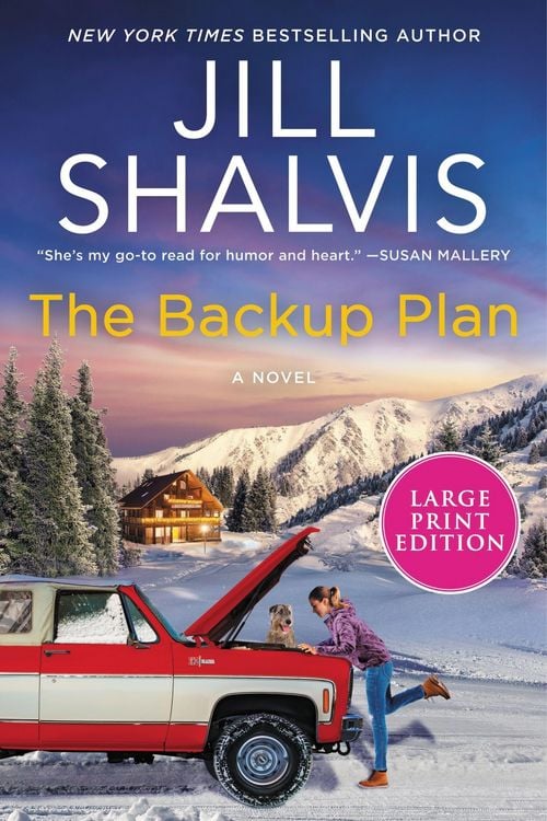 Produktbild: The Backup Plan