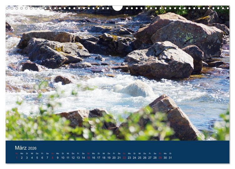 Produktbild: Das Leben der etwas "anderen" Eisb&auml;ren! (Wandkalender 2026 DIN A3 quer), CALVENDO Monatskalender
