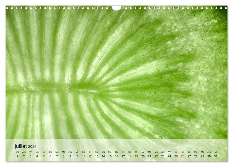 Produktbild: C&oelig;ur de fruits c&oelig;ur de l&eacute;gumes (Calendrier mural 2026 DIN A3 vertical), CALVENDO calendrier mensuel