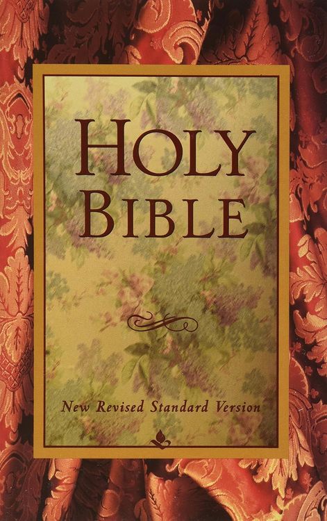 Produktbild: Holy Bible-NRSV