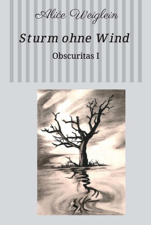 Produktbild: Sturm ohne Wind