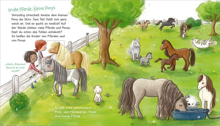 Produktbild: WAS IST WAS Meine Welt Band 7 Ich mag Ponys!