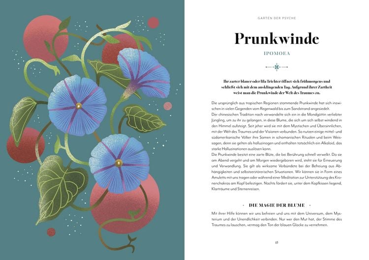 Produktbild: Blumen-Zauber
