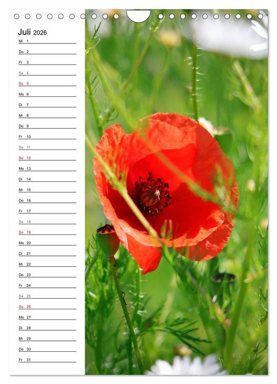 Produktbild: Mohn, zarte Bl&uuml;ten, starke Farben, der Geburtstagskalender (Wandkalender 2026 DIN A4 hoch), CALVENDO Monatskalender