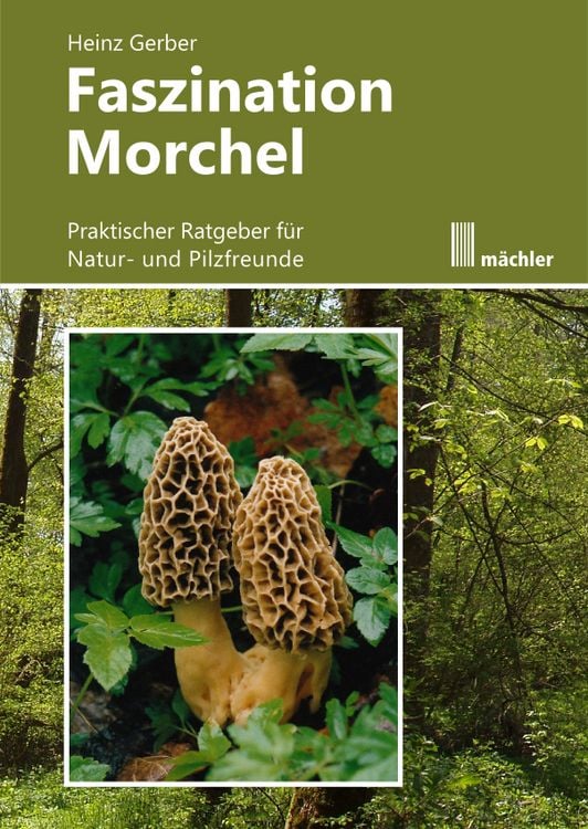 Produktbild: Faszination Morchel