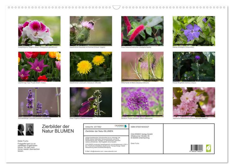 Produktbild: Zierbilder der Natur BLUMEN (Wandkalender 2026 DIN A2 quer), CALVENDO Monatskalender