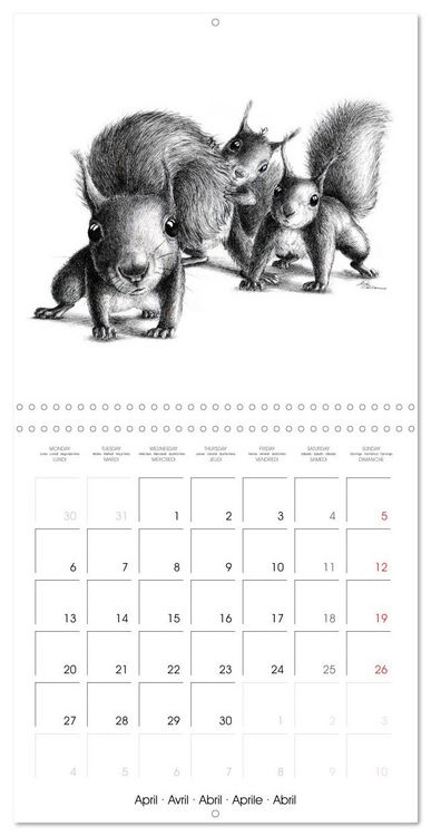 Produktbild: owls and mates 2026 (Wall Calendar 2026 12 &times; 12 Inch) CALVENDO 12 Month Wall Calendar