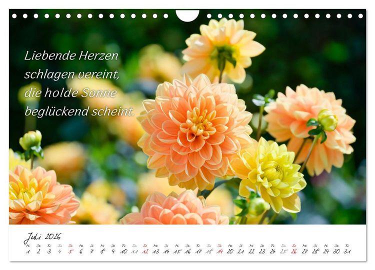 Produktbild: Dahlien Poesie (Wandkalender 2026 DIN A4 quer), CALVENDO Monatskalender