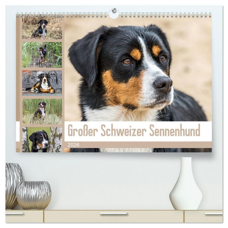 Produktbild: Gro&szlig;er Schweizer Sennenhund (hochwertiger Premium Wandkalender 2026 DIN A2 quer), Kunstdruck in Hochglanz