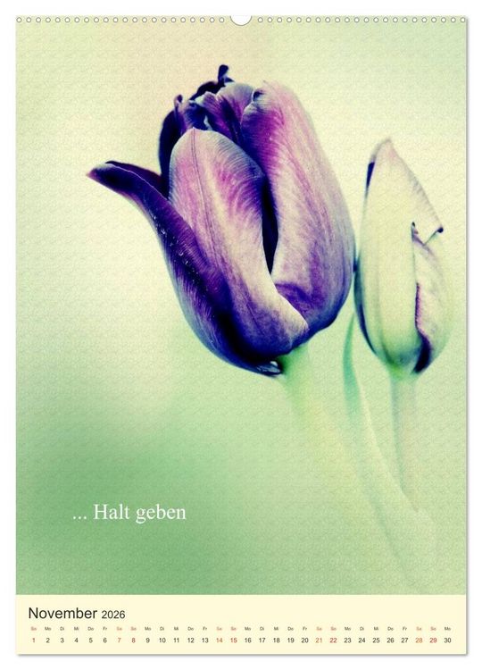 Produktbild: flowers (hochwertiger Premium Wandkalender 2026 DIN A2 hoch), Kunstdruck in Hochglanz