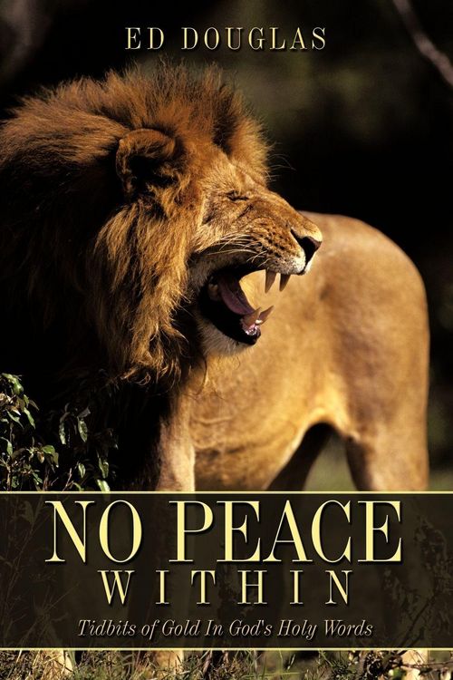 Produktbild: No Peace Within