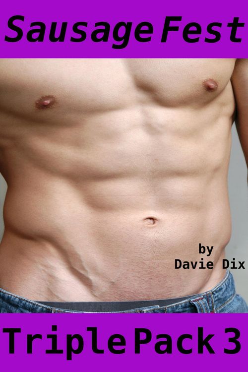 Produktbild: Sausage Fest, Triple Pack 3 (Gay Erotica)