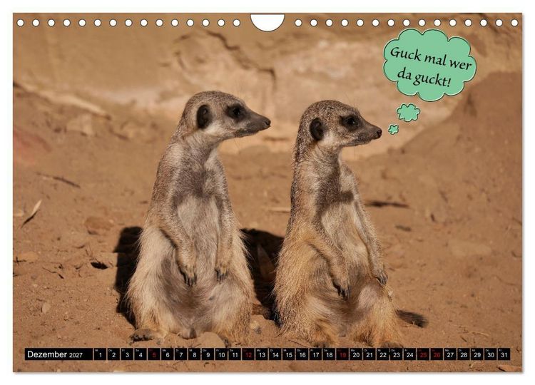 Produktbild: Wenn Tiere sprechen k&ouml;nnten! Der lustige Spr&uuml;che Kalender (Wandkalender 2027 DIN A4 quer), CALVENDO Monatskalender