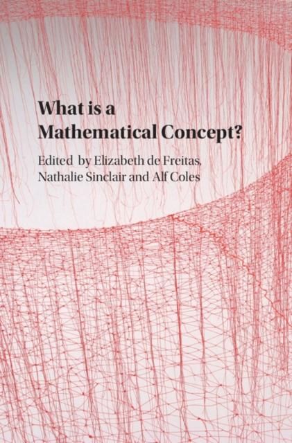 Produktbild: What is a Mathematical Concept?