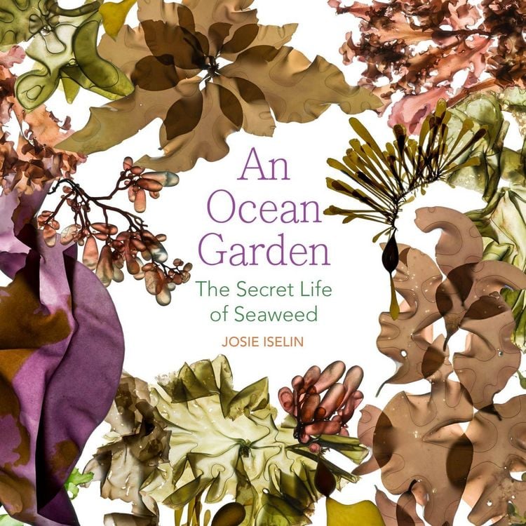 Produktbild: An Ocean Garden