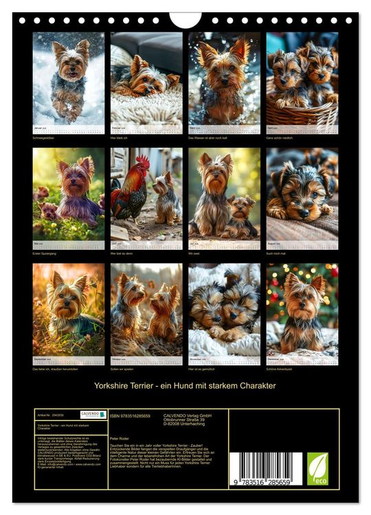 Produktbild: Yorkshire Terrier - ein Hund mit starkem Charakter (Wandkalender 2026 DIN A4 hoch), CALVENDO Monatskalender