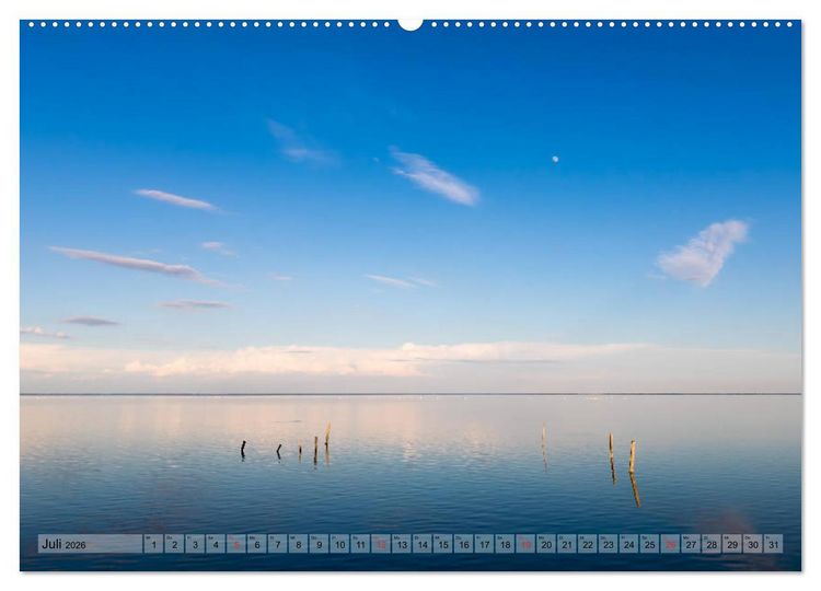 Produktbild: Camargue - Der wilde S&uuml;den Frankreichs (Wandkalender 2026 DIN A2 quer), CALVENDO Monatskalender