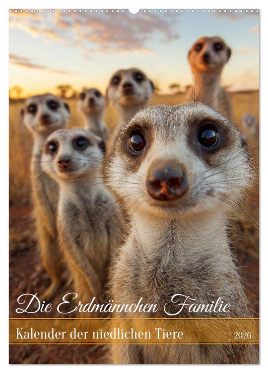 Produktbild: Die Erdm&auml;nnchen Familie - Kalender der niedlichen Tiere (Wandkalender 2026 DIN A2 hoch), CALVENDO Monatskalender