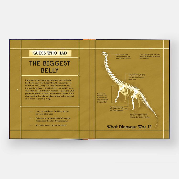 Produktbild: Book of Dinosaurs