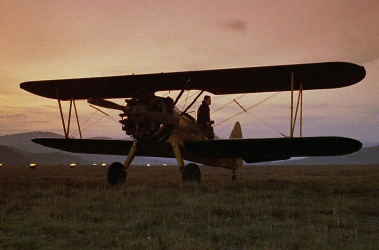 Produktbild: The Aviator - Absturz in der Wildnis