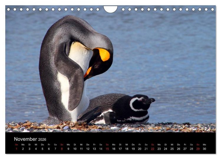 Produktbild: S&uuml;dpatagonien &ndash; das "Ende" der Welt (Wandkalender 2026 DIN A4 quer), CALVENDO Monatskalender