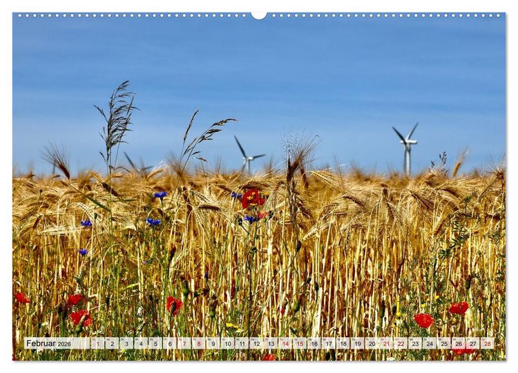 Produktbild: Fischland: zwischen Ostsee und Bodden (Wandkalender 2026 DIN A2 quer), CALVENDO Monatskalender