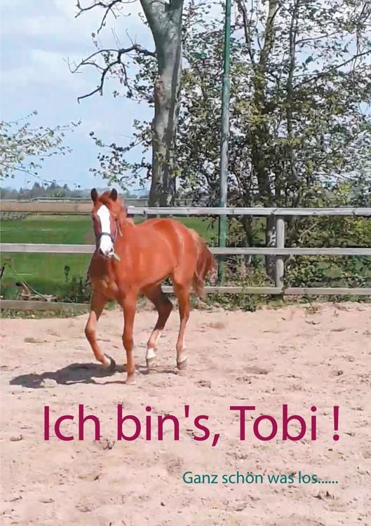 Produktbild: Ich bin's, Tobi !