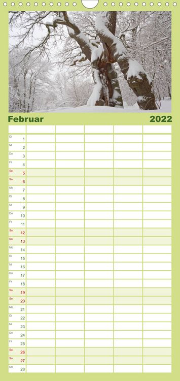 Produktbild: Familienplaner Weltnaturerbe Hainich (Wandkalender 2022 , 21 cm x 45 cm, hoch)