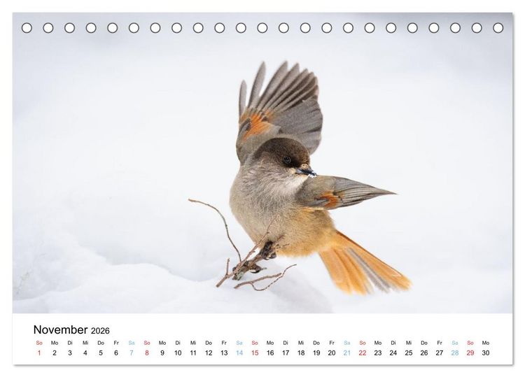Produktbild: Tierwelt Skandinaviens (Tischkalender 2026 DIN A5 quer), CALVENDO Monatskalender