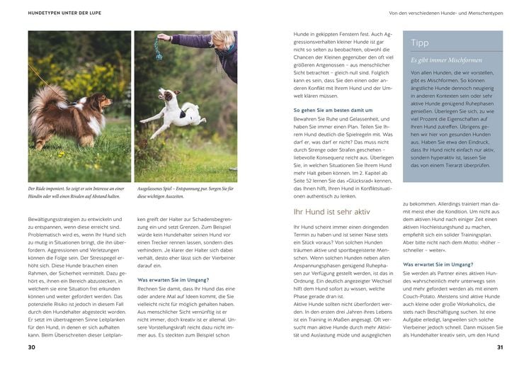 Produktbild: Life-Dog-Balance