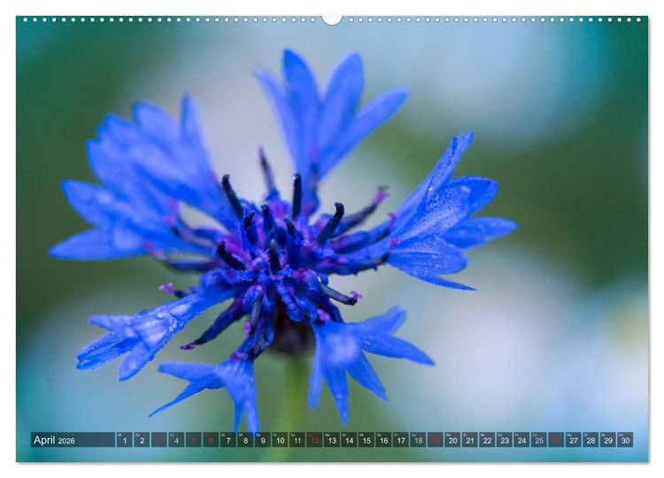 Produktbild: Feng Shui Farben - Element Wasser (hochwertiger Premium Wandkalender 2026 DIN A2 quer), Kunstdruck in Hochglanz