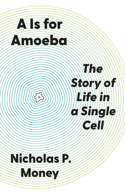 Produktbild: A is for Amoeba