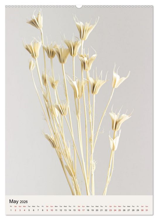 Produktbild: Dried Flowers (Wall Calendar 2026 DIN A2 portrait), CALVENDO 12 Month Wall Calendar