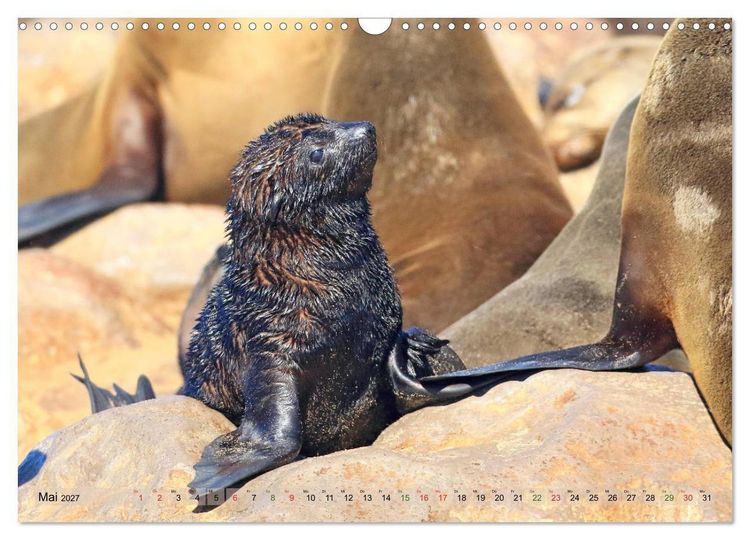 Produktbild: Wildes Kinderzimmer - Tierkinder in Afrika (Wandkalender 2027 DIN A3 quer), CALVENDO Monatskalender