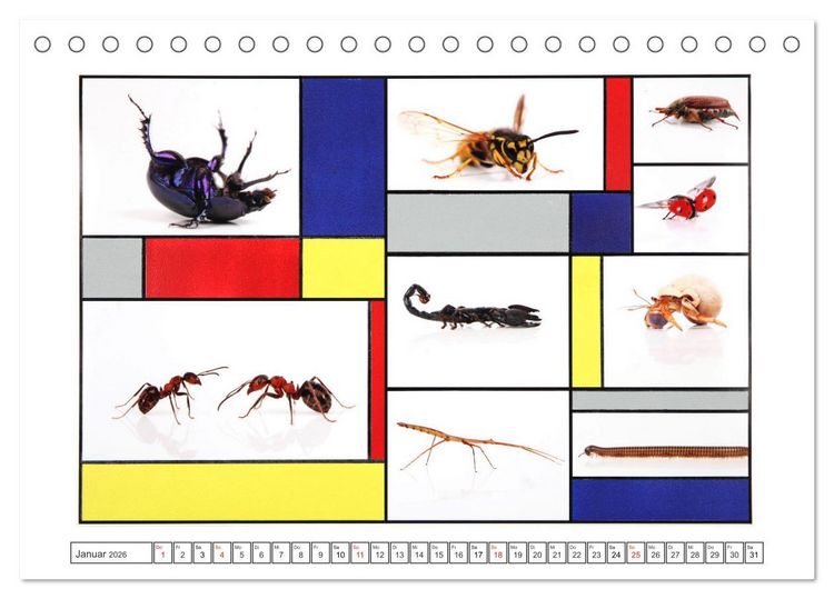 Produktbild: Fotos Farbe Fantasie. (Tischkalender 2026 DIN A5 quer), CALVENDO Monatskalender