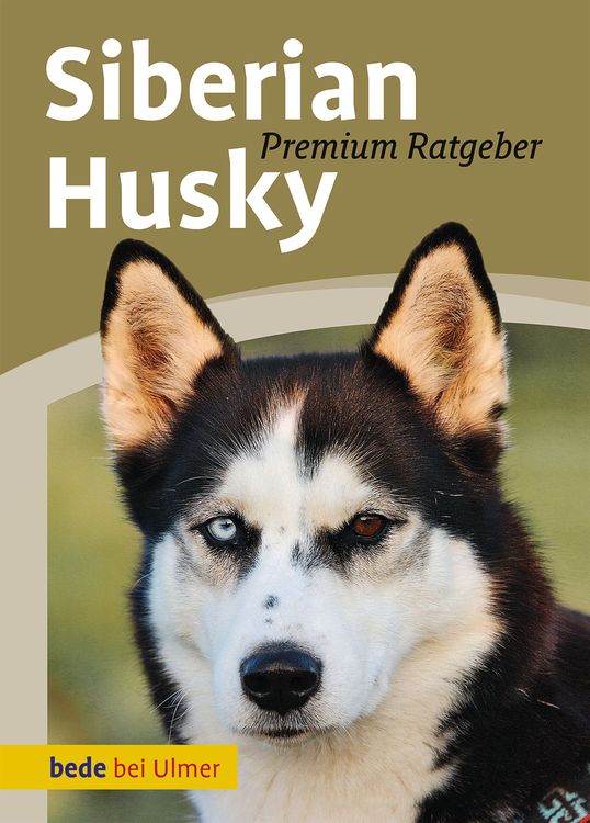 Produktbild: Siberian Husky