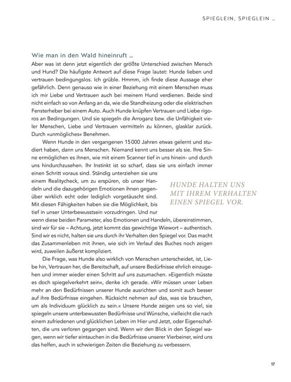 Produktbild: Das Geheimnis der Spiegelung