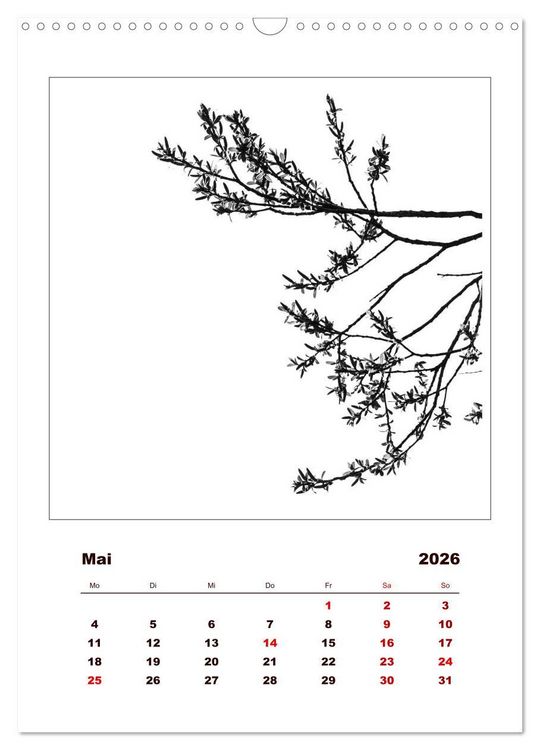 Produktbild: LignoGrafica - Muster und Strukturen der B&auml;ume (Wandkalender 2026 DIN A3 hoch), CALVENDO Monatskalender