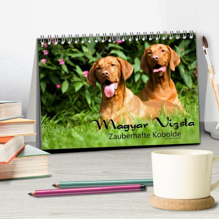 Produktbild: Magyar Vizsla - Zauberhafte Kobolde (Tischkalender 2026 DIN A5 quer), CALVENDO Monatskalender