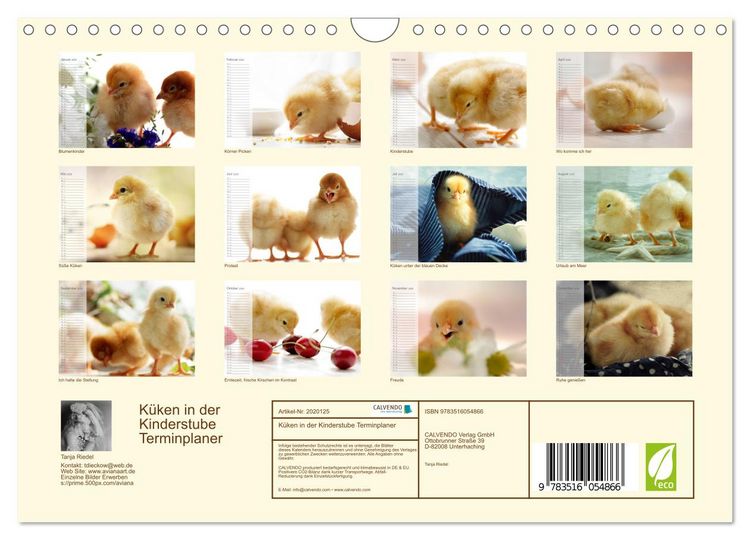 Produktbild: K&uuml;ken in der Kinderstube Terminplaner (Wandkalender 2026 DIN A4 quer), CALVENDO Monatskalender