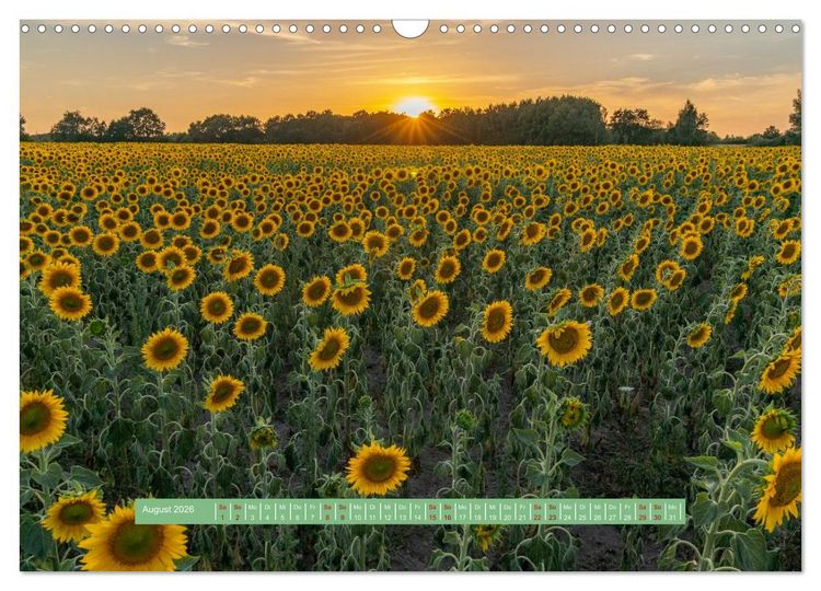 Produktbild: Wolfsburgs sch&ouml;nste Ecken (Wandkalender 2026 DIN A3 quer), CALVENDO Monatskalender