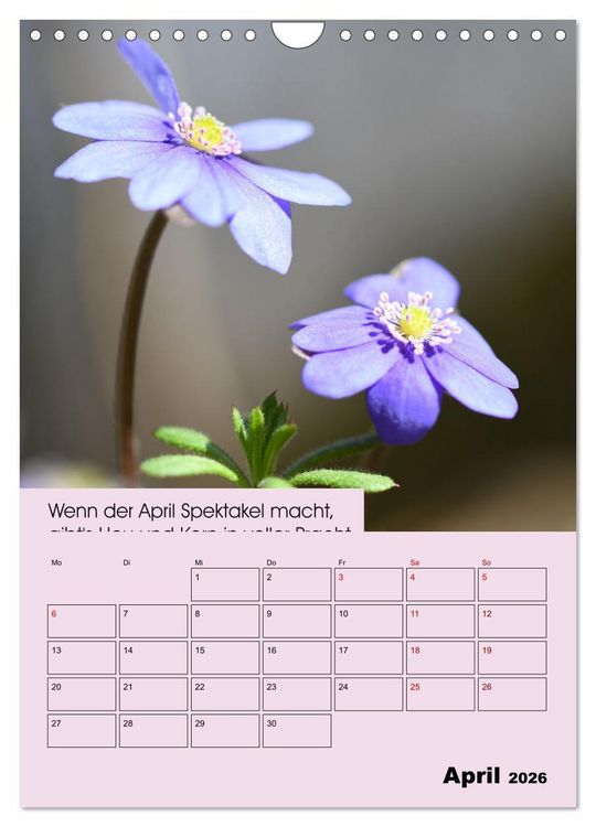 Produktbild: Wetter-Regeln der Bauern (Wandkalender 2026 DIN A4 hoch), CALVENDO Monatskalender