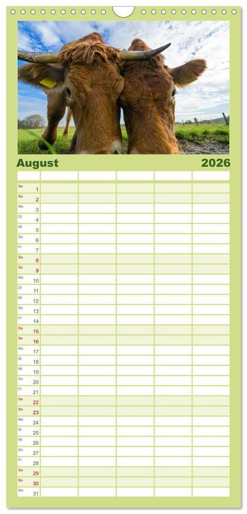 Produktbild: Familienplaner 2026 - Kuhckst du? mit 5 Spalten (Wandkalender, 21 x 45 cm) CALVENDO