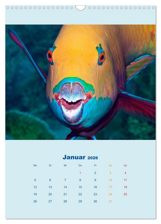 Produktbild: Portraitaufnahmen - Fische (Wandkalender 2026 DIN A3 hoch), CALVENDO Monatskalender