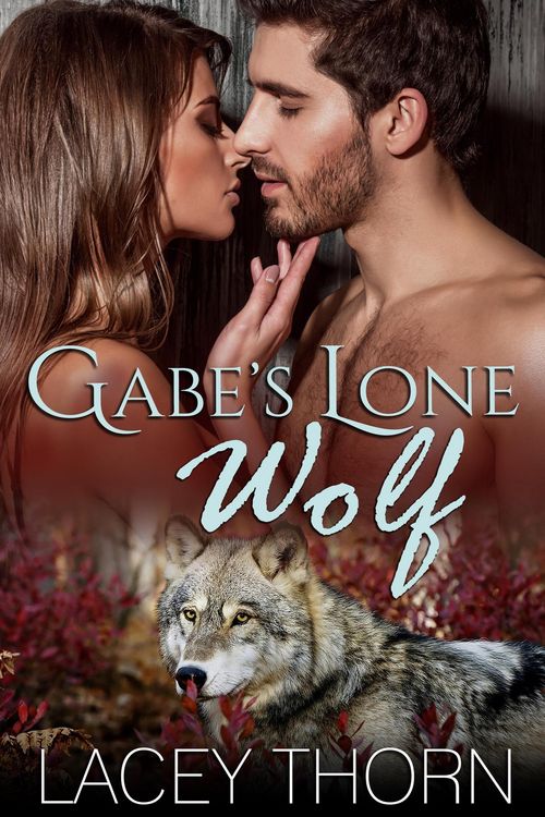 Produktbild: Gabe's Lone Wolf (James Pack, #6)