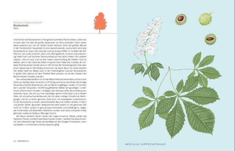 Produktbild: Arboretum. 70 B&auml;ume - 70 St&auml;dte