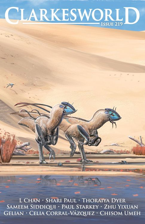Produktbild: Clarkesworld Magazine Issue 219